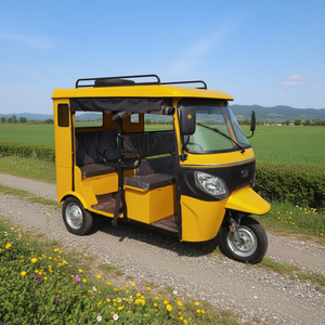 Tricycle à essence Tuk Tuk 200cc à moteur refroidi par eau, longue portée 60km, 260*132*182cm avec housses de pluie, <span class=keywords><strong>3</strong></span> <span class=keywords><strong>roues</strong></span>, <span class=keywords><strong>moto</strong></span> à essence - Ventes Flash - Product Image 1