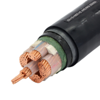 Cable de Alimentación de 0,6-1 KV con Núcleo de Cobre, Aislamiento XLPE, Blindaje de Cinta de Acero y Cubierta de PVC, de 3 y 4 Núcleos para Distribución Subterránea