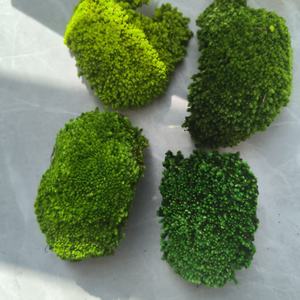 Vente en gros de mousse de boule carrée naturelle verte, mousse de poteau, carreaux de mousse, décoration de bureau, lichen stabilisé et préservé, Fête du Poisson d'avril - Product Image 6