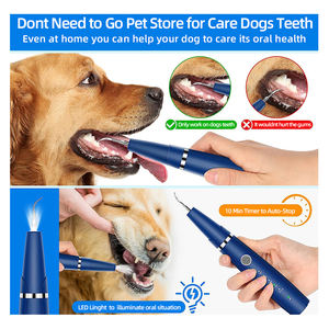 5-Mode ultrasuoni Pet elettrico interdentale <span class=keywords><strong>Scaler</strong></span> domestico per animali domestici denti tartaro di calcolo della placca di rimozione Multi-Purpose igiene orale - Product Image 4