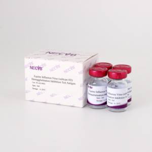 H5 Re-12 조류 인플루엔자 HI 항원 (Hemagglutinin)ISO 인증 HI 백신 개발 및 혈청 검사 고특이성 - Product Image 3