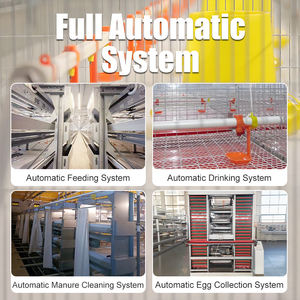 <span class=keywords><strong>Cage</strong></span> de poulet de couche d'économie d'espace avec la conception à trois niveaux et les systèmes automatiques - Product Image 5
