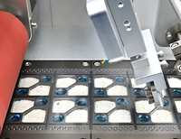 Machine d'emballage automatique de capsules de lessive haute précision et économes en énergie pour la recherche et le développement