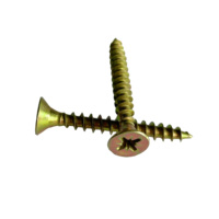 Hot Selling China Screw Fasteners Self Tapping Screw for Plastic Metal Wood