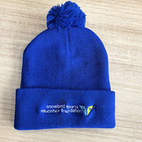 Bonnets d'hiver tricotés de haute qualité, brodés, pour sports de plein air, fabricant de bonnets tricotés, bonnets personnalisés unisexes
