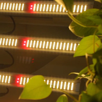 2025 Les meilleures ventes 600w 800w 1000w Lm301b Spider Led élèvent la lumière