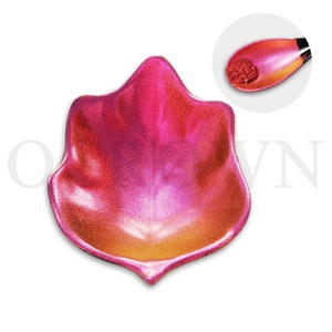 Pigment de revêtement de peinture caméléon à bas <span class=keywords><strong>prix</strong></span> Pigment de résine époxy caméléon - Product Image 1