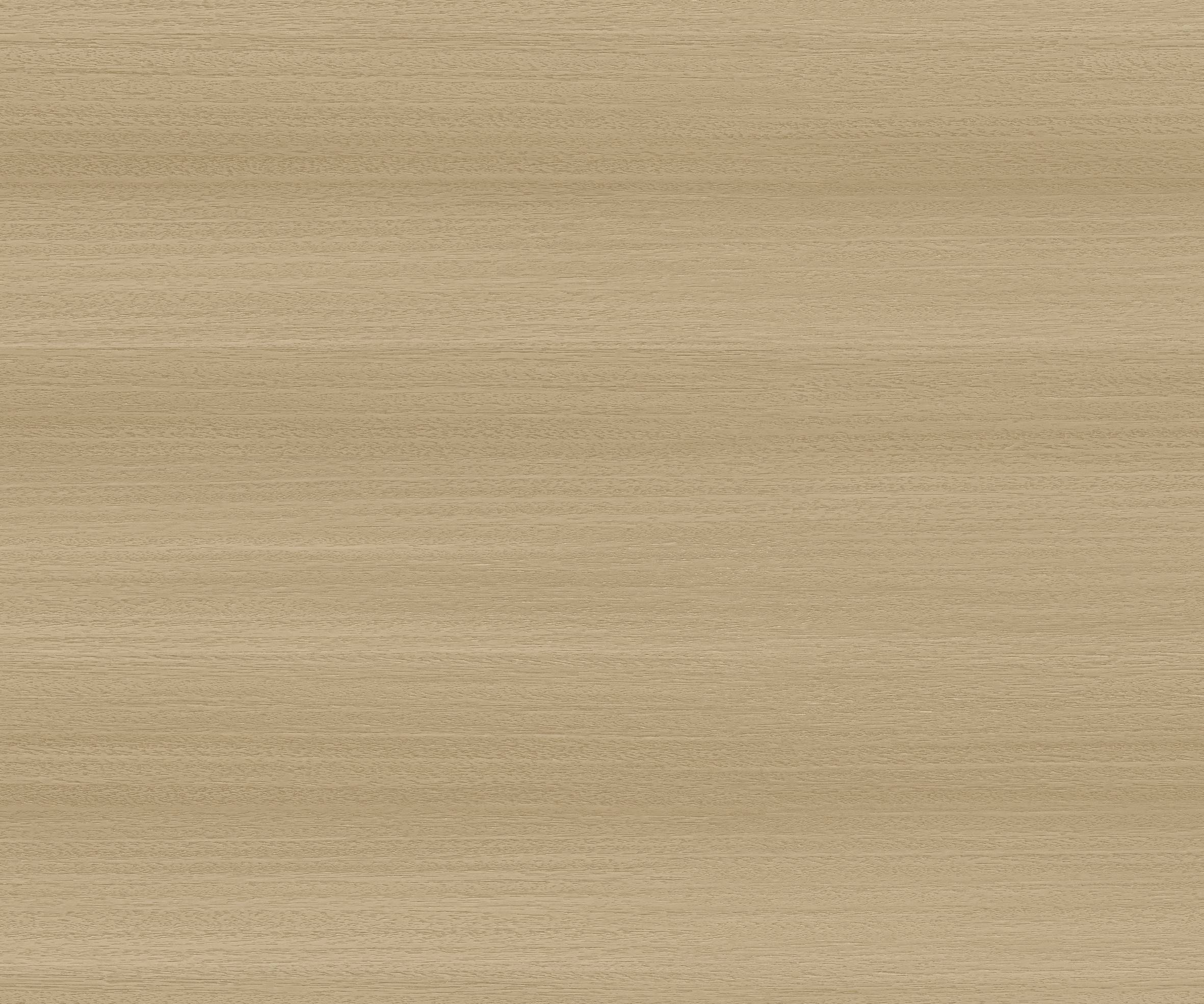 BL22-S19L