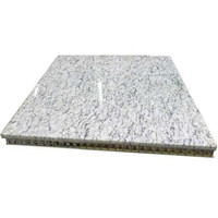 Aludream Panneau en nid d'abeille en aluminium ignifuge de qualité A2 antistatique enduit de PE léger brossé pour la construction de grandes maisons