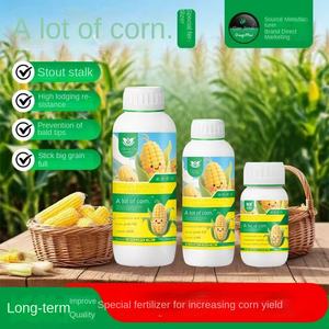 <span class=keywords><strong>Fertilizante</strong></span> <span class=keywords><strong>Foliar</strong></span> Universal Granulado de Maíz Haodao Duo, Aumenta el Rendimiento y la Ingresos, Compost, Tallo <span class=keywords><strong>Completo</strong></span>, Fuerte Resistencia a la Inclinación - Product Image 5