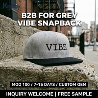 Gorra Snapback Personalizada con Logotipo, OEM, ODM, Bordado 3D, MOQ Bajo, Marca Personalizada, Letras Premium con Contraste