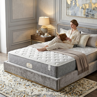 Matelas à ressorts ensachés Jiabaijia : Fonction de décompression corporelle, design personnalisable, idéal pour chambre et villa – Prix compétitif
