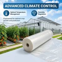 Film de serre pour tomates 200 microns, résistant aux UV, PE haute transparence, anti-goutte, co-extrusion 3-5 couches, tunnel haut