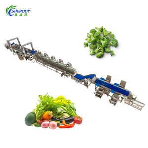 Ligne de lavage de légumes à l'ozone Shepody pour laitue et brocoli, machine à laver et sécher les légumes à feuilles par bulles d'ozone - Product Image 2