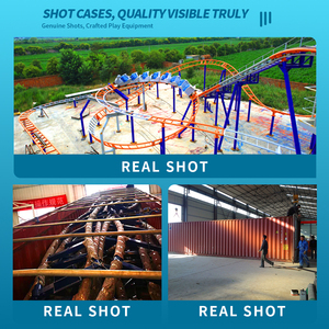 قطار الملاهي بأسعار منخفضة، قطار الملاهي الكبير المجنون للبالغين، قطار الملاهي العائلي للحدائق الترفيهية للبيع - Product Image 4