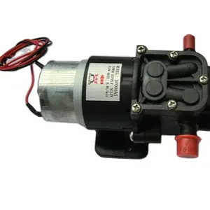 Premium 12v DC Diaphragm Pump with Wide Temperature Range for Extreme Conditions Booster pump exporter