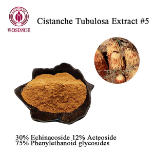 30% Echinacoside 12% extrait d'acteoside Cistanche Tubulosa suppléments naturels pour boissons énergétiques - Product Image 2
