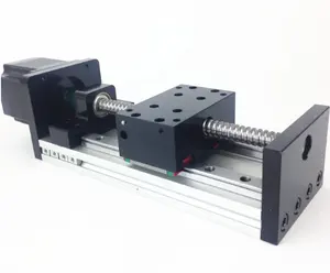 Plataforma de tornillo de bola de riel de guía lineal cuadrado lineal CNC 100-500mm carrera efectiva 2 uds deslizadores impresora 3D de escenario de movimiento XYZ
