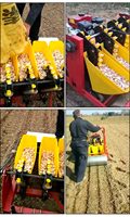 Semoir à ail à essence 5 rangs avec moteur, haute productivité, usage agricole, espacement des rangs réglable, marque HD