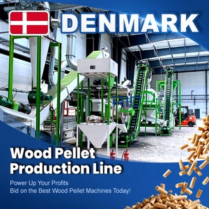 Usine de granulés de bois RICHI Danemark - Ligne de production industrielle automatique de granulés de bois clé en main personnalisable de 0,5 à 120 T/H avec certification CE - Product Image 1