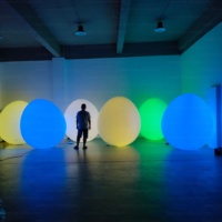 Vente flash - Œuf géant gonflable personnalisé avec éclairage LED - Ballon LED gonflable pour la décoration de fête