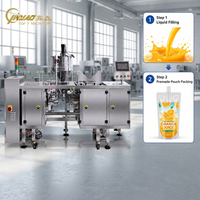 Machine d'emballage automatique de sachets pour liquides (eau, jus, lait, sauce soja, vinaigre, liquides visqueux) – Équipement de remplissage et de scellage