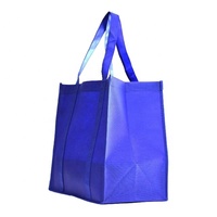 Pas cher Fabricant Tissu PP Eco Chaussure Stockage Personnalisé Non-tissé Sacs
