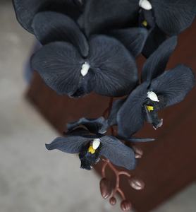 FC4102 оптовая продажа, Искусственные черные шелковые орхидеи с 8 цветами для украшения - Product Image 5