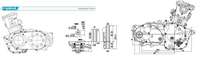 Ensemble moteur ATV 350cc haute qualité, type CVT, moteur complet universel pour réparation et remise à neuf de quad tout-terrain et buggy