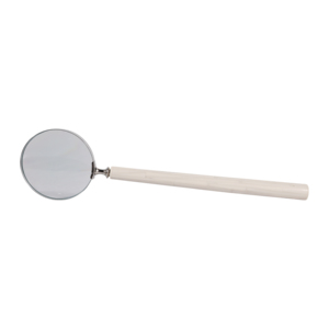 Lente d'ingrandimento classica con manico in avorio per decorazione casa e ufficio - Product Image 1