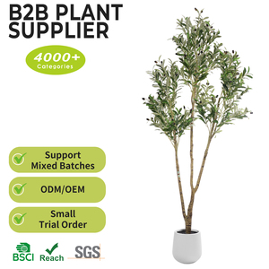 Grand Arbre d'<span class=keywords><strong>Olivier</strong></span> Artificiel <span class=keywords><strong>en</strong></span> <span class=keywords><strong>Gros</strong></span> de 210 cm (7 pieds) – Plante Artificielle Géante avec Tiges <span class=keywords><strong>pour</strong></span> Décoration de Hall d'Hôtel et Entrée – Arbres de Sol - Product Image 2