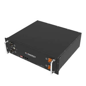 新しいデザインのジャキパーナラダリチウム電池100ahカーティスコントローラー48v高品質 - Product Image 2