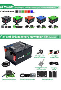 Lifepo4 Golfwagen-Batterie 36V 48V 72V 50Ah 100Ah 105Ah 200Ah Golfwagen-Lithium-Batterie Umrüstsätze mit Ladegerät - Product Image 6