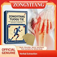 Patchs Corporels Traditionnels Zongyitang de Haute Qualité à Base de Plantes, Soulagement Doux et Externe de l'Arthrite et des Douleurs Articulaires