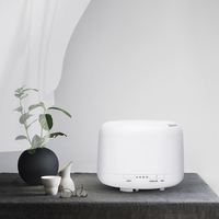 Diffuseur d'huiles essentielles de bureau pour hôtel, maison, enfants et bébés, produit le plus vendu en gros d'usine