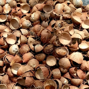 Coquille de noix de coco naturelle, forme ronde, matière première écologique, charbon artisanal, décoration personnalisée, Ben Tre Vietnam, en vrac - Product Image 4