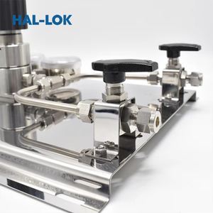 Panel de Control de Manómetros de Acero Inoxidable de Alta Presión para <span class=keywords><strong>Gas</strong></span> Neumático, Regulador de Presión de 0-1.6MPa para Dos Cilindros HAL-LOK - Product Image 4