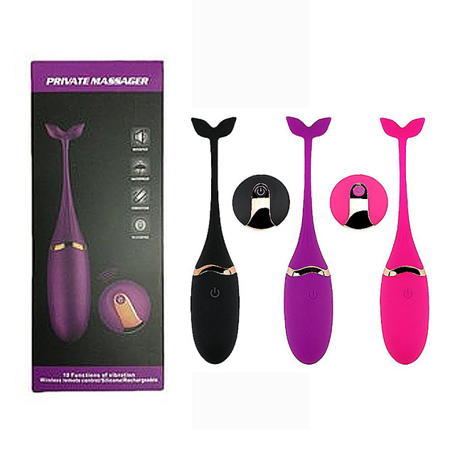 Remote Controlled Vibrating Egg Vibrator