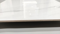 Carreaux muraux modernes en marbre blanc 60x60 pour maison et douche, fonction pare-feu