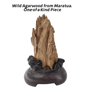 Yixiaji Feng Shui Wooden Sculpture for Chinese New Year Home Decor-Irregular Shape Wood <strong>Handicraft</strong> - Product Image 1