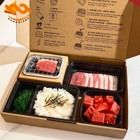 Nouvel ensemble de boîtes à lunch HongQiang avec gril à charbon intégré pour barbecue portable et jetable