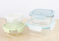 Ensemble de 4 bols en verre borosilicate trempé pour micro-ondes, carrés, hermétiques, avec compartiments, pour la conservation des aliments