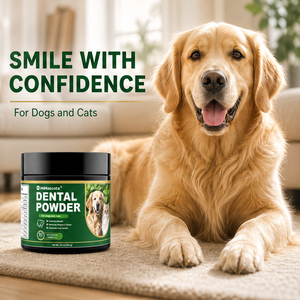<span class=keywords><strong>Poudre</strong></span> dentaire OEM/ODM pour chiens et chats, 8 ingrédients <span class=keywords><strong>en</strong></span> 1, élimination multi-enzymes de la plaque et du tartre, pas besoin de brossage - Product Image 5
