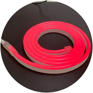 Fita de PVC macia cortável com fita de neon, rolo de 100m 10x20mm RGB AC220V AC110V 1M, luz de corda LED para construção ao ar livre