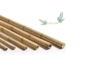 Tige de bambou de haute qualité, tuyaux, pôle en bambou solides à utiliser pour l'industrie, fabriqué au Vietnam, - Product Image 4