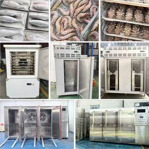 Congelador Industrial Pequeño de Acero Inoxidable Italiano Económico de 10x10 y Equipo de Congelación Rápida para Mariscos Iqf - Product Image 5