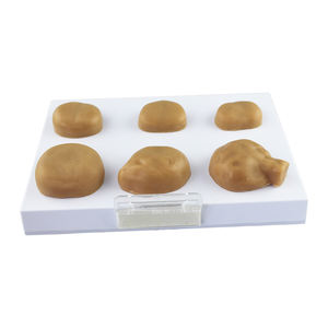 Modèle de <span class=keywords><strong>prostate</strong></span> pathologique ZM2061 22.5*16*2.5 - Product Image 5