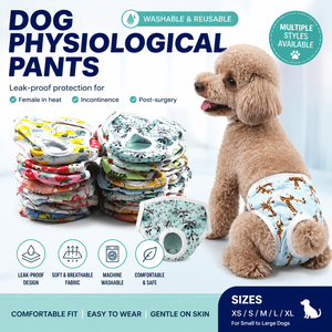 Culottes absorbantes pour chiennes, direct usine, anti-matings, avec coussinet absorbant, sous-vêtements lavables pour la période de chaleur, OEM - Product Image 1