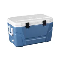 Boîte à Glace en Plastique Isolée PU, Refroidisseur de Glace pour Camping en Plein Air, Vente Directe d'Usine, 70l