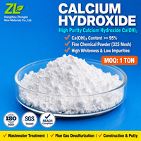 Hydroxyde de calcium, poudre de chaux calcinée Ca(OH)2 95% Min, Zhejiang Chine, 325 Mesh, prix de gros usine pour peinture architecturale